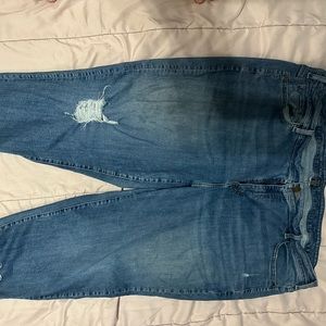 Lane Bryant Boyfriend Crop 28R